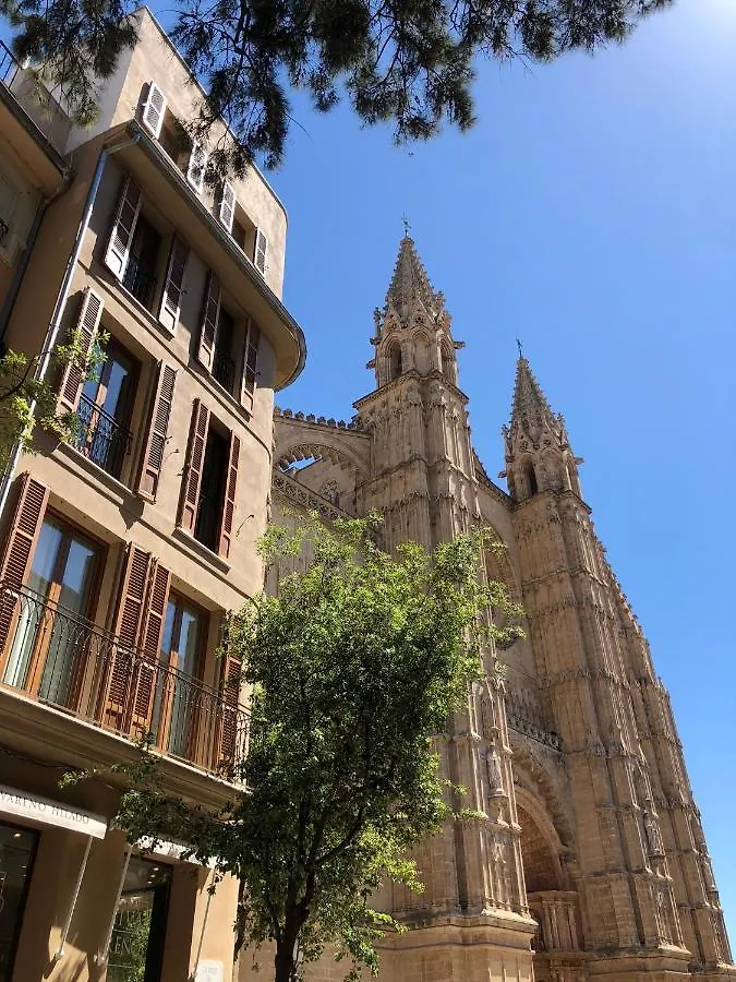 Vila Damunt Palma de Mallorca Spain